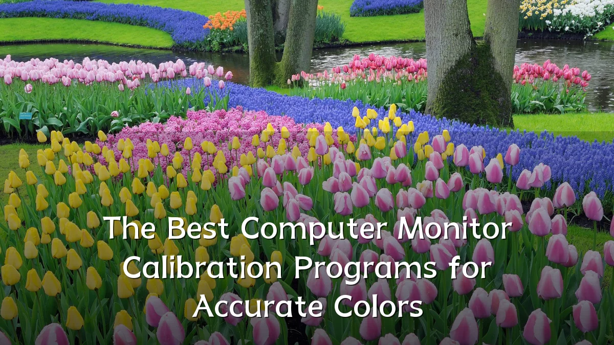 The Best Computer Monitor Calibration Programs for Accurate Colors