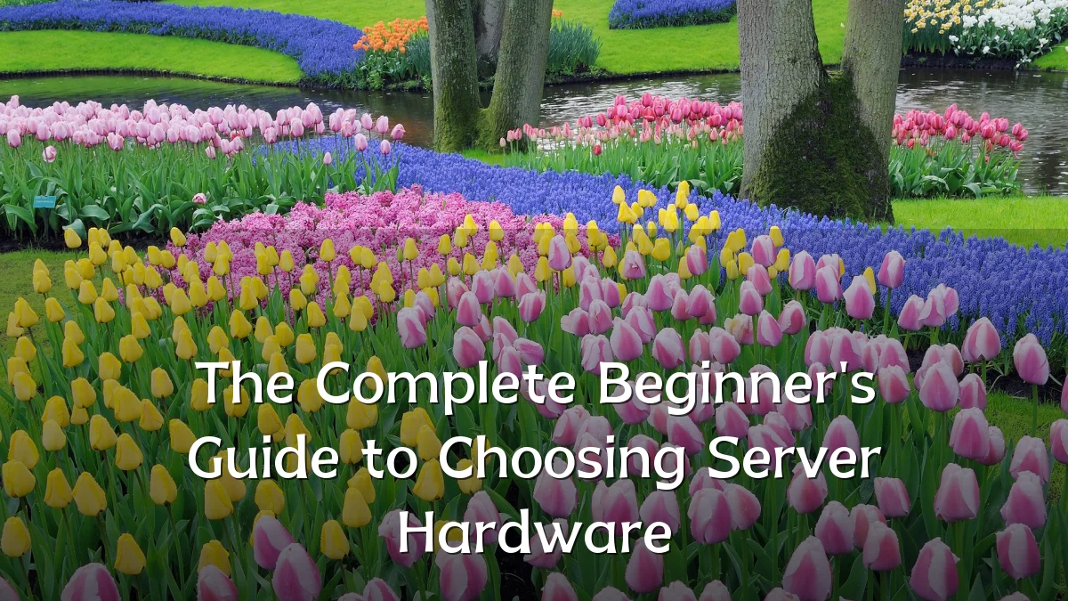 The Complete Beginner's Guide to Choosing Server Hardware