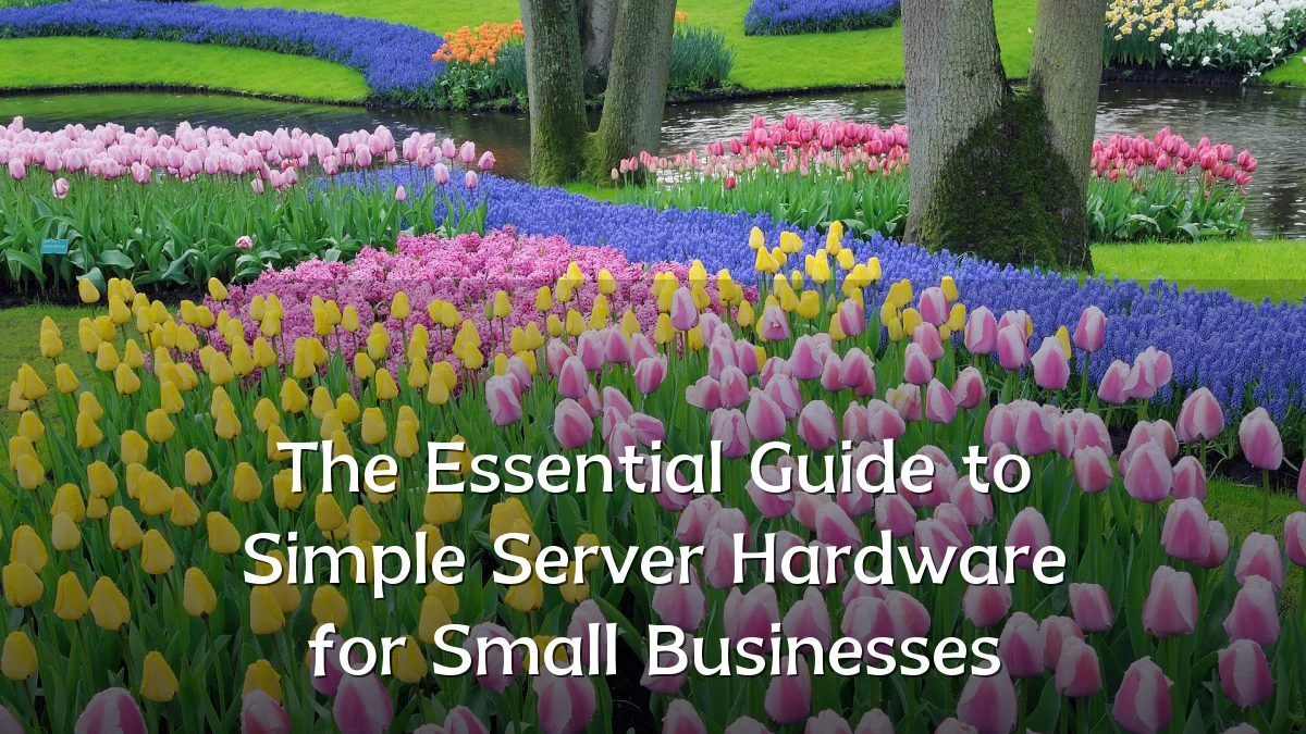 The Essential Guide to Simple Server Hardware for Small Businesses