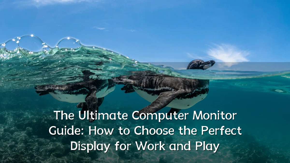The Ultimate Computer Monitor Guide: How to Choose the Perfect Display for Work and Play