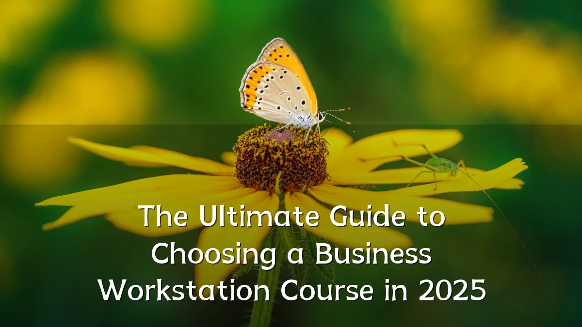 The Ultimate Guide to Choosing a Business Workstation Course in 2025