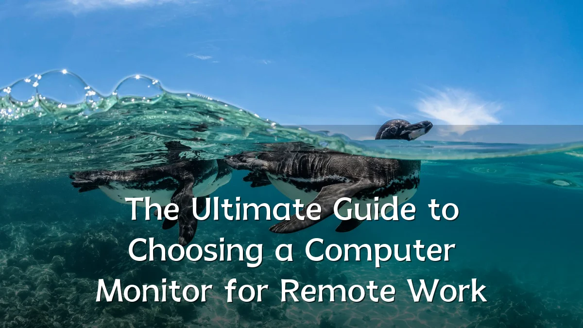 The Ultimate Guide to Choosing a Computer Monitor for Remote Work