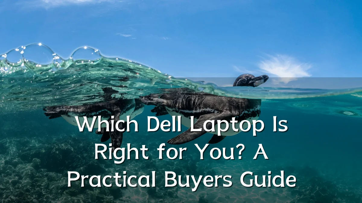 Which Dell Laptop Is Right for You? A Practical Buyers Guide