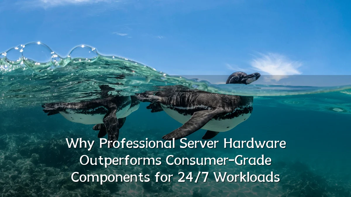 Why Professional Server Hardware Outperforms Consumer-Grade Components for 24/7 Workloads