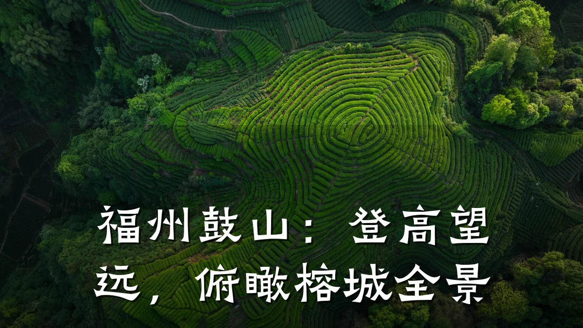 福州鼓山:登高望远,俯瞰榕城全景