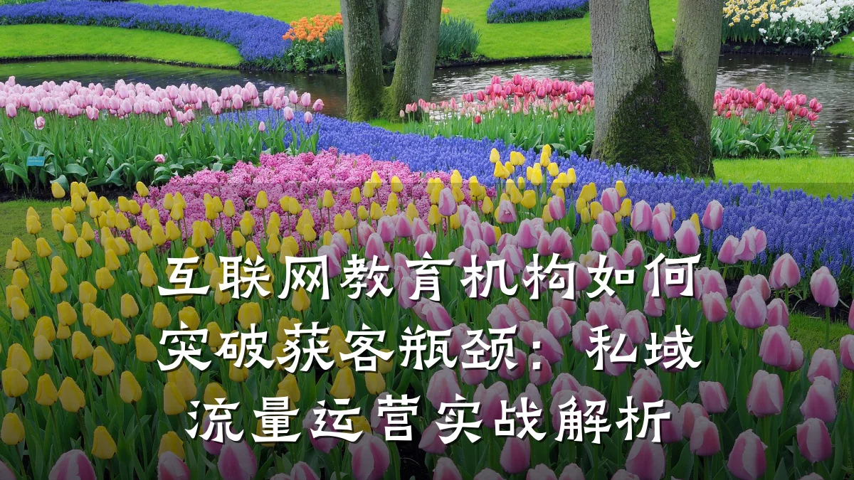 互联网教育机构如何突破获客瓶颈：私域流量运营实战解析